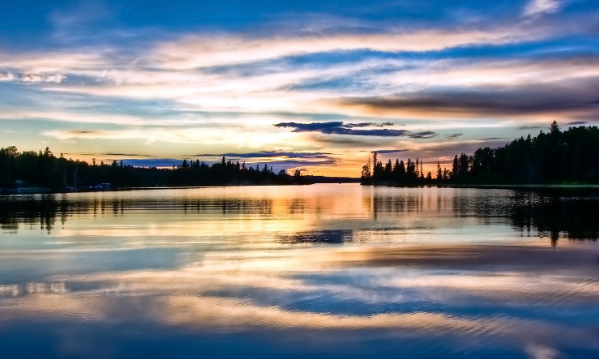 網(wǎng)站 網(wǎng)站